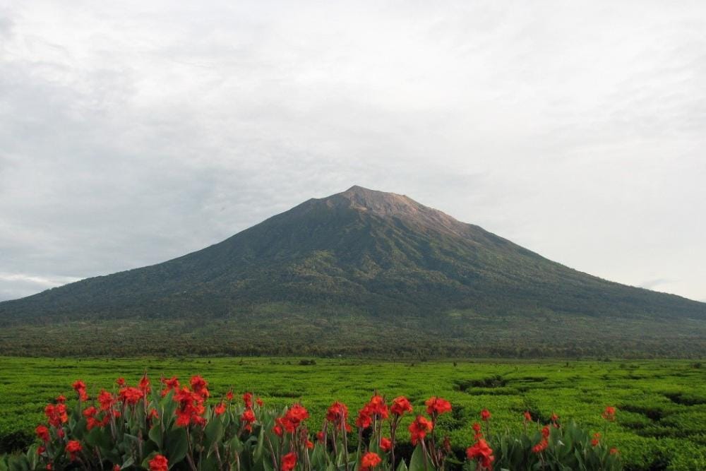 goodnewsfromindonesia.id