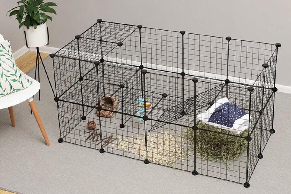 bluecloverrabbitry.com