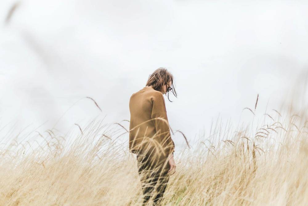Unsplash.com/Matthew Henry