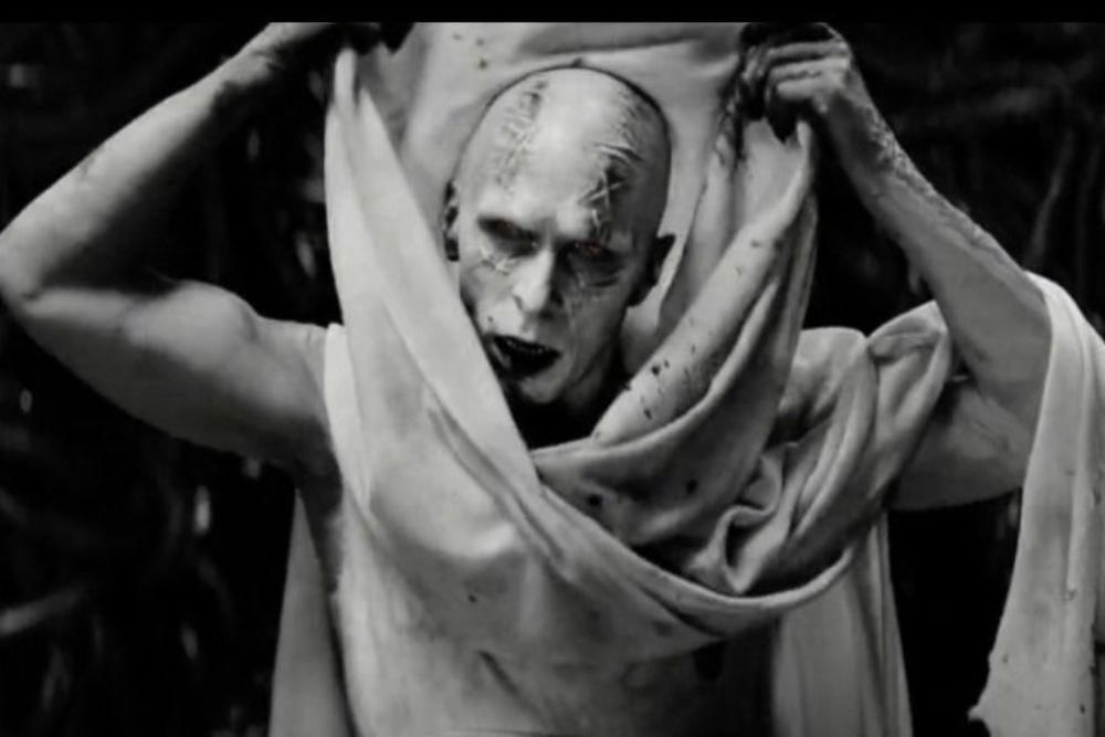 twitter.com/theNDExperience