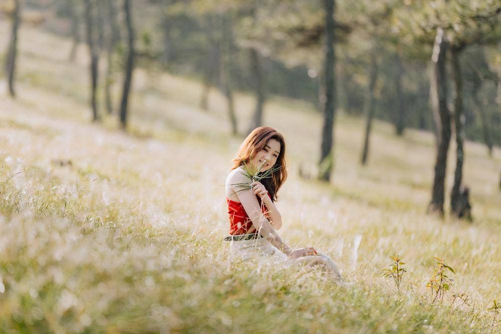 Pexels.com/Hậu  Nguyễn