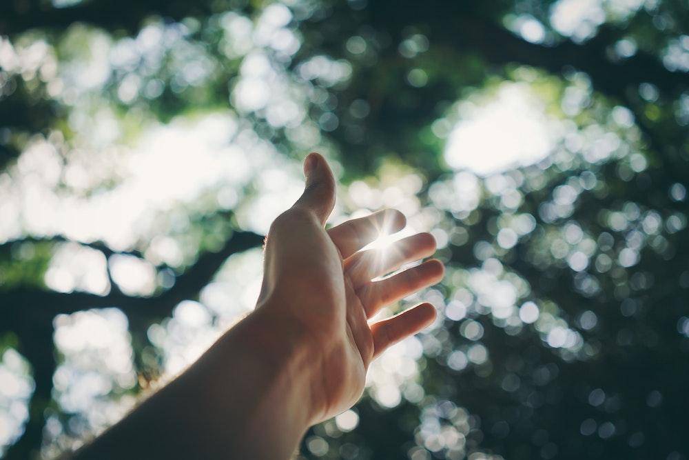 pexels.com/ricardo-esquivel