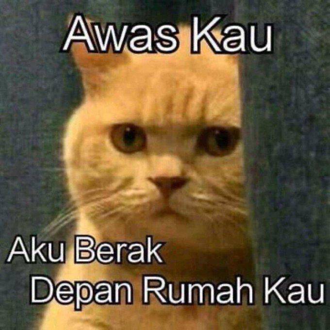 qwdew